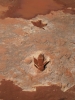 PICTURES/Dinosaur Tracks/t_Tracks5.jpg